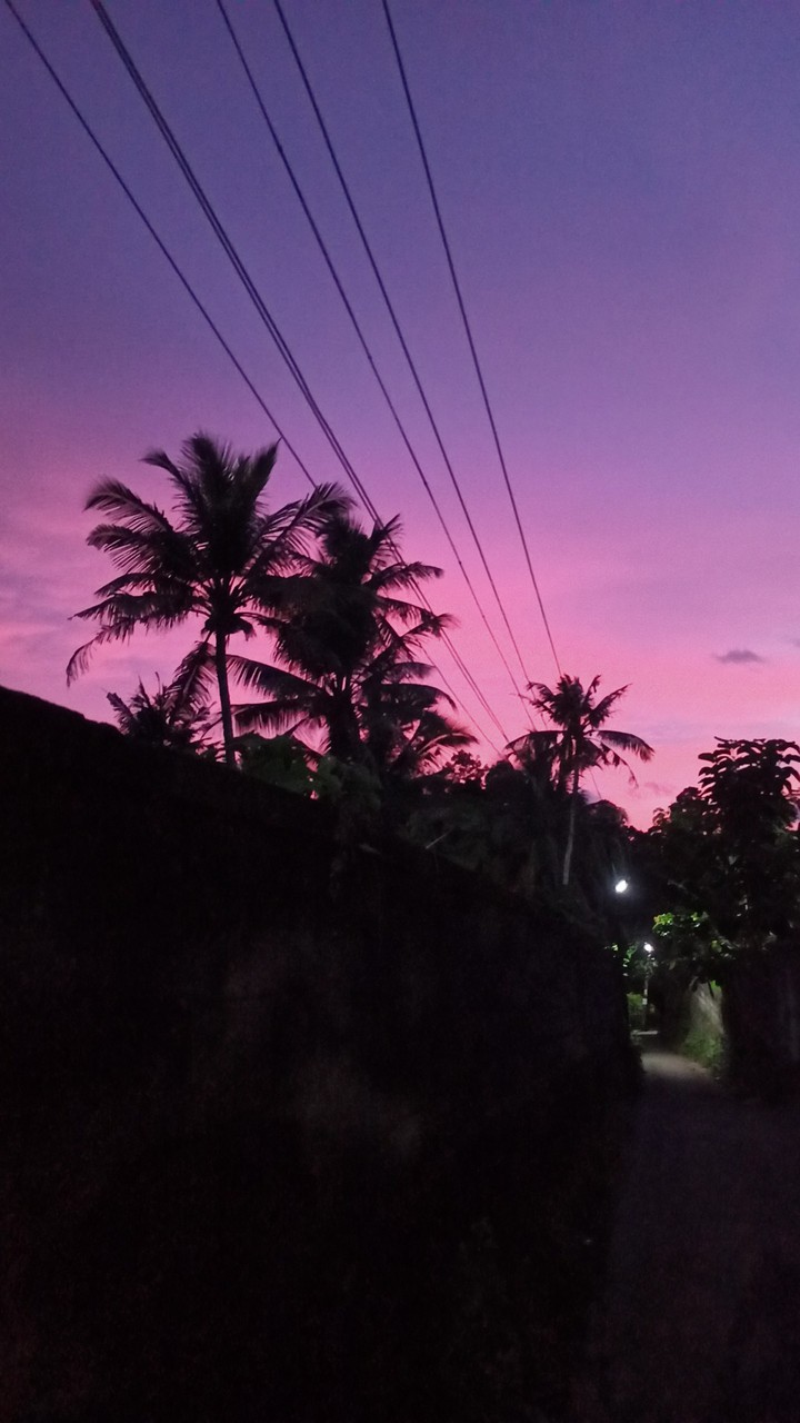 Twilight Sky Show