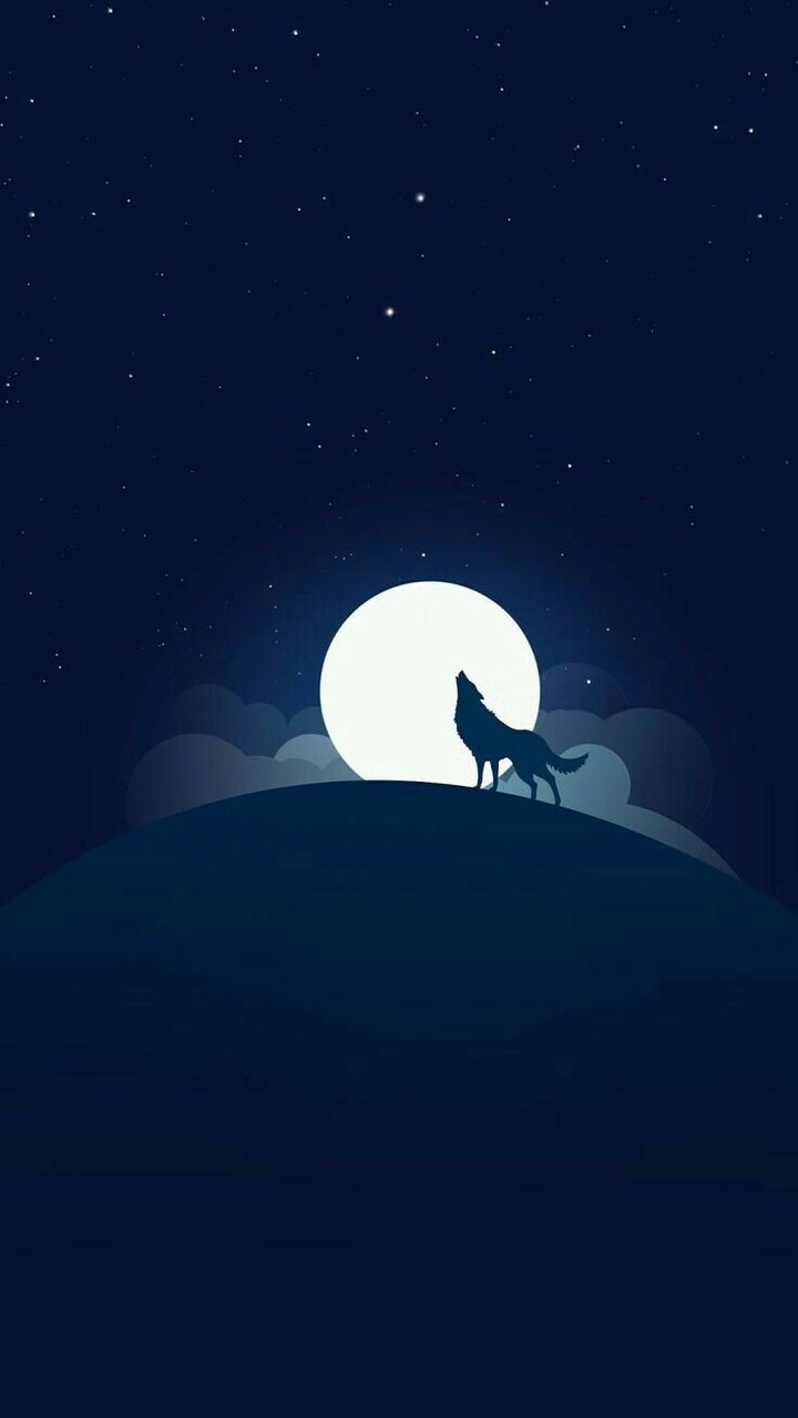 night wolf