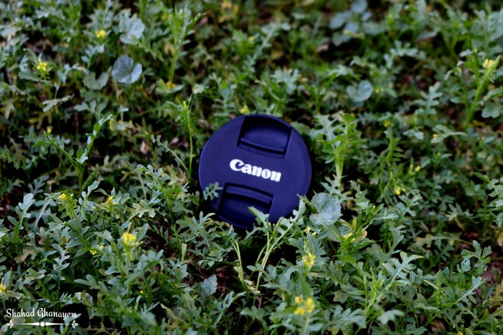 camera