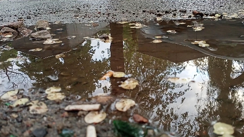 Raining