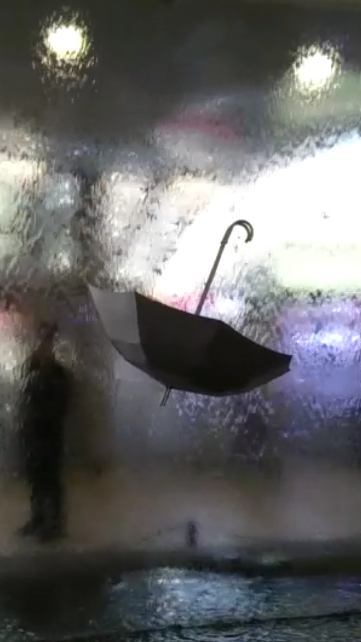 umbrella