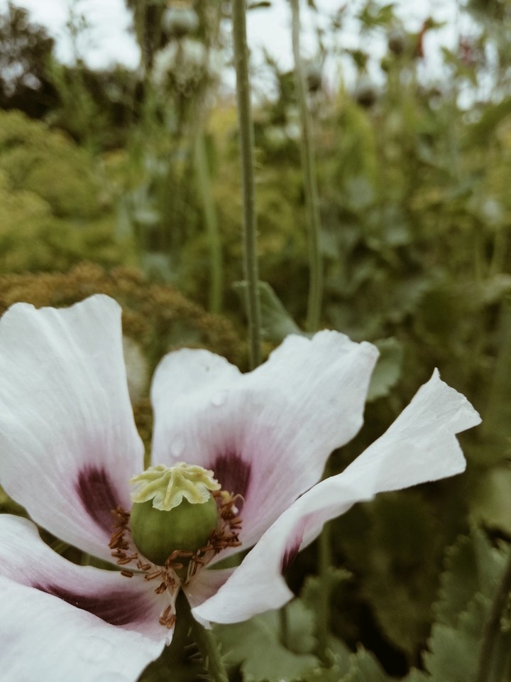 Nature♥️