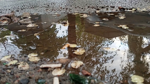 Raining