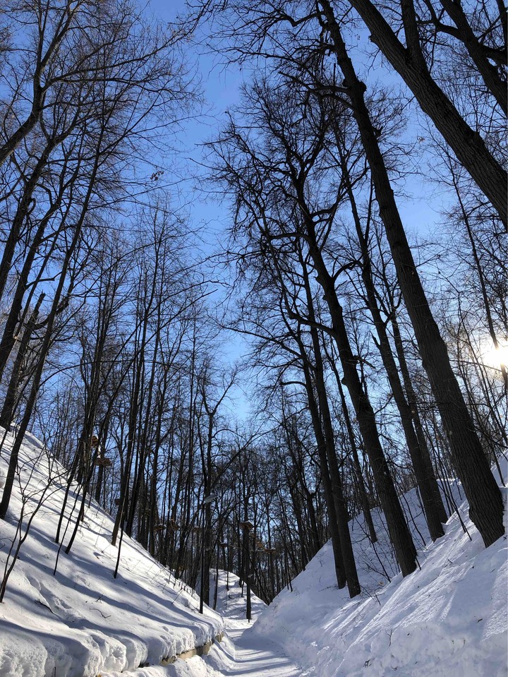 park