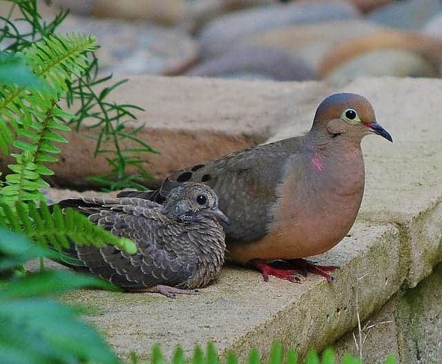 Mom & Baby