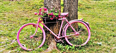 bicicletta pink