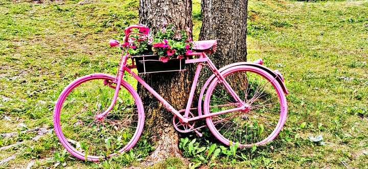 bicicletta pink