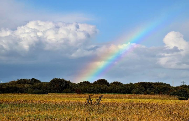 Schleswig Holstein