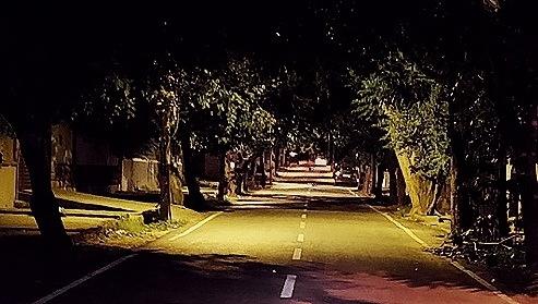 The night sight