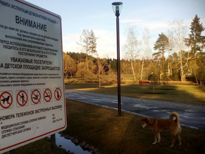 Парк