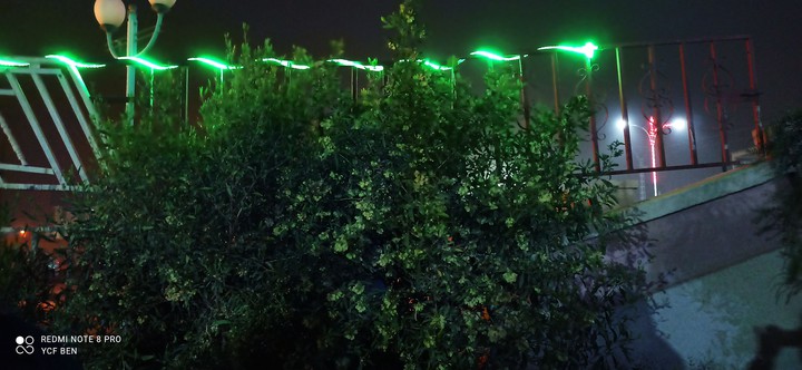 light night