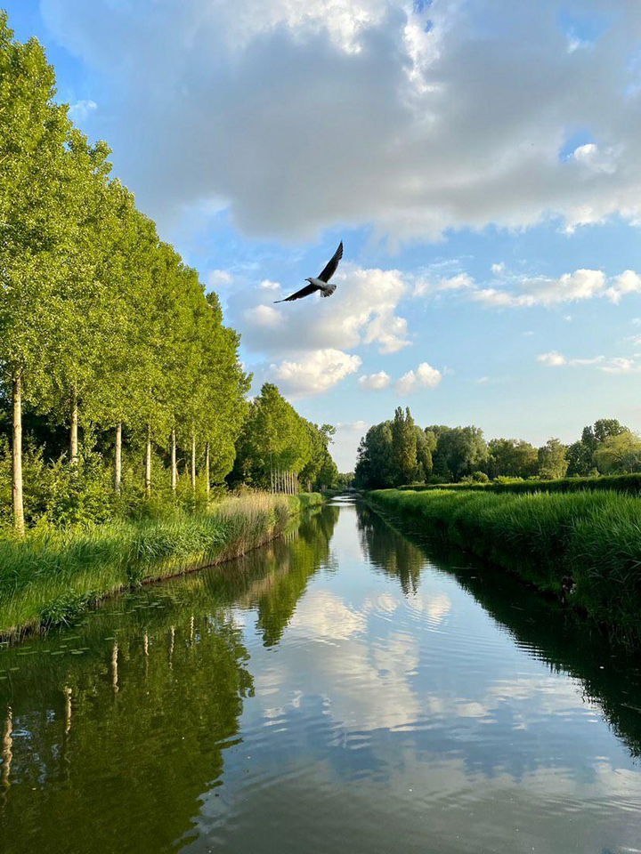 serenity..