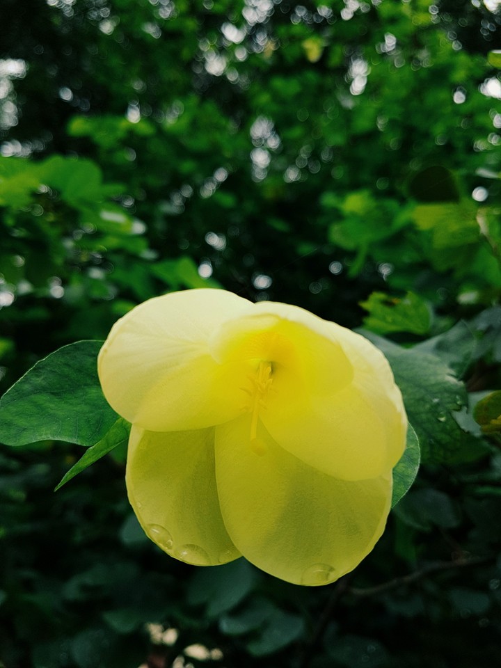 captured on s7