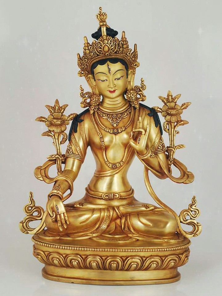 Tara