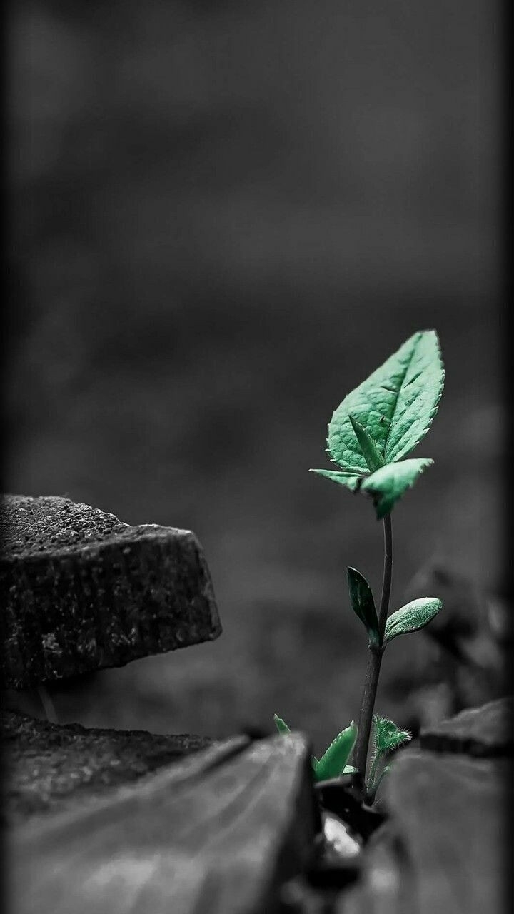 hope in dark
