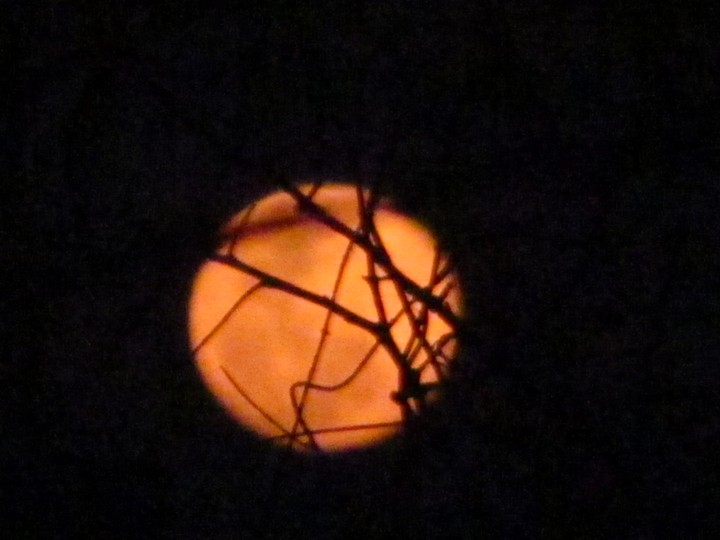 darkness begins