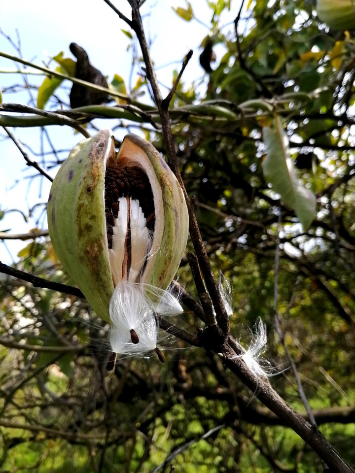 #nature