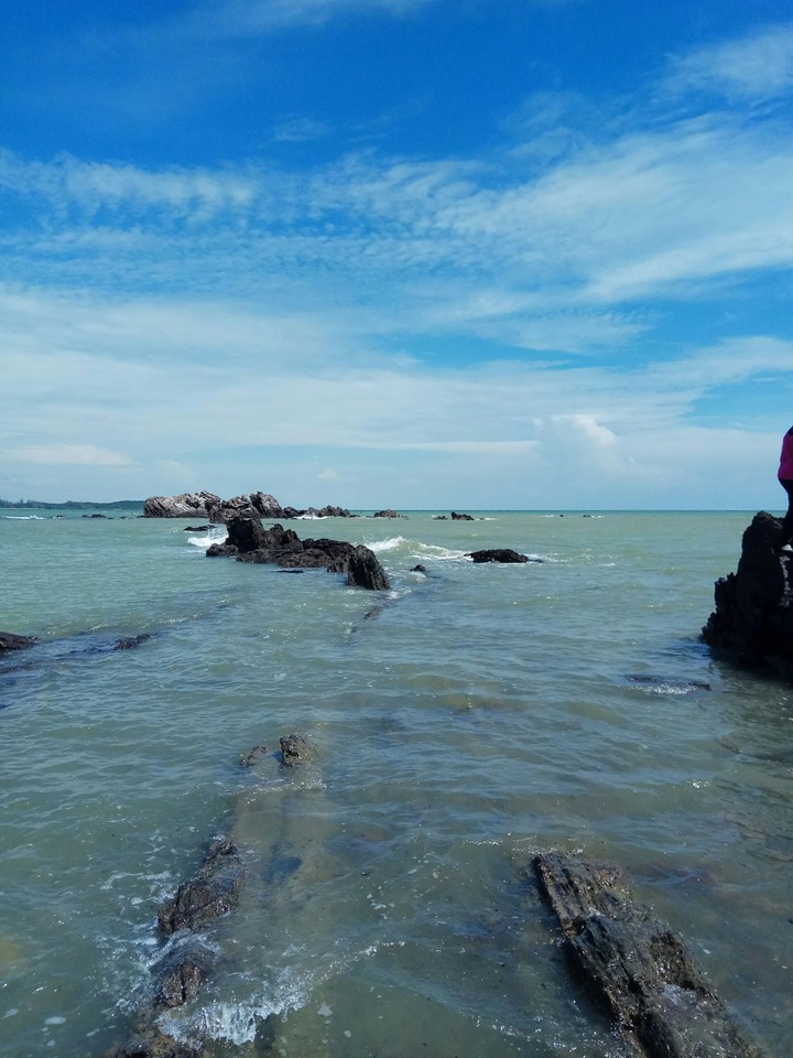 Standing in Front of the World of Sea Creatures