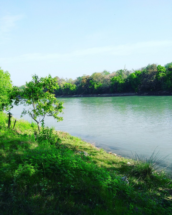 River bank
