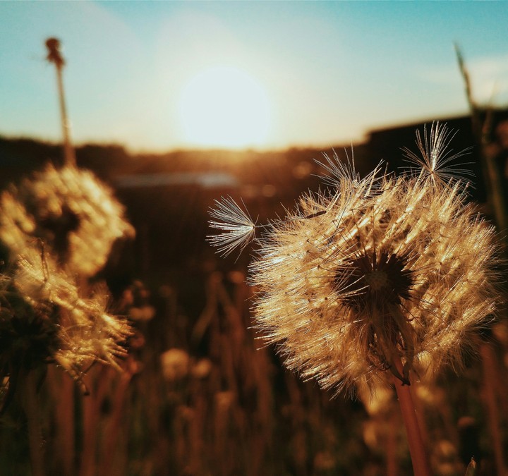 sunny day