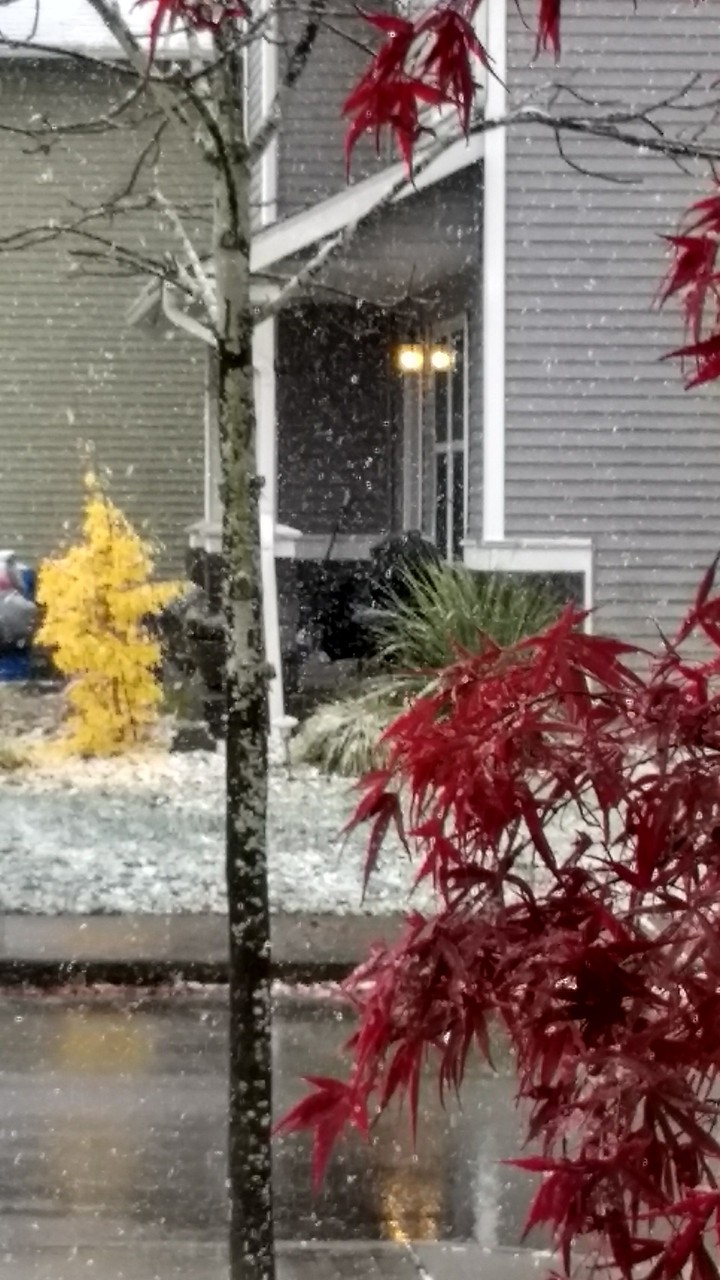 First Snow Fall