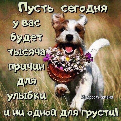 тысяча причин!