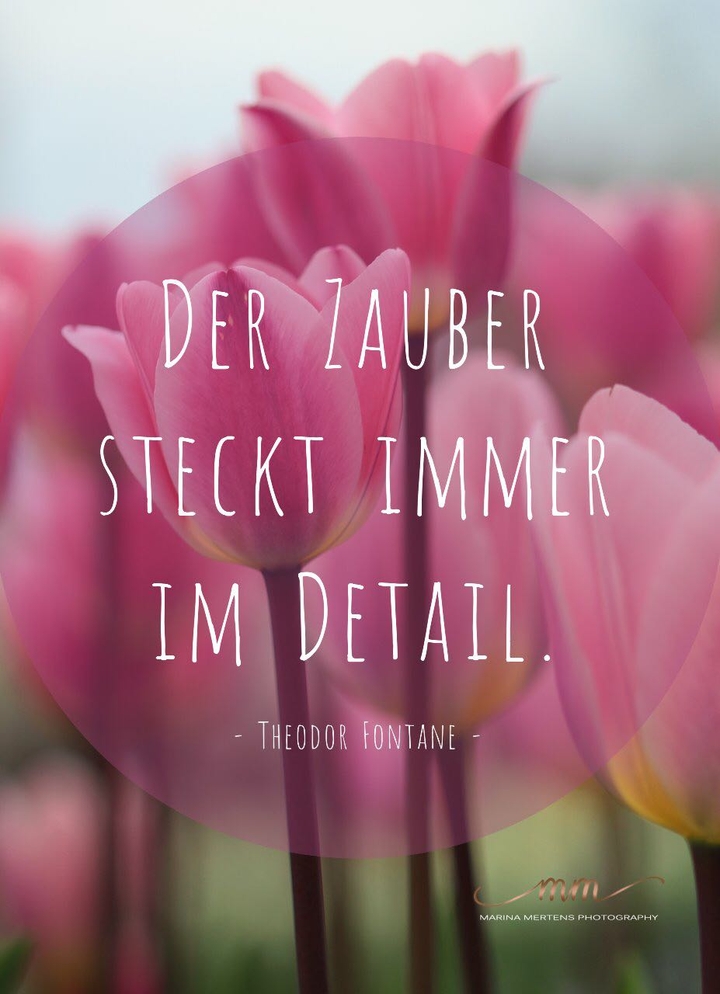 Der Zauber steckt immer im Detail! - T. Fontane