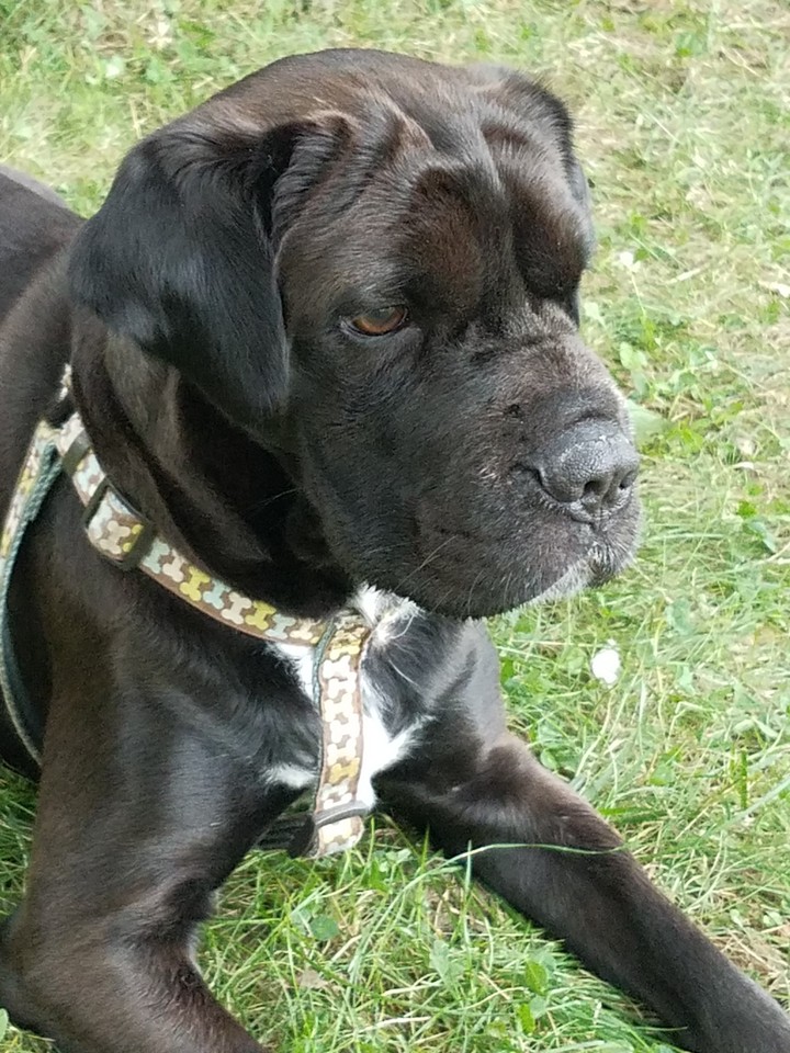 Relaxing outside