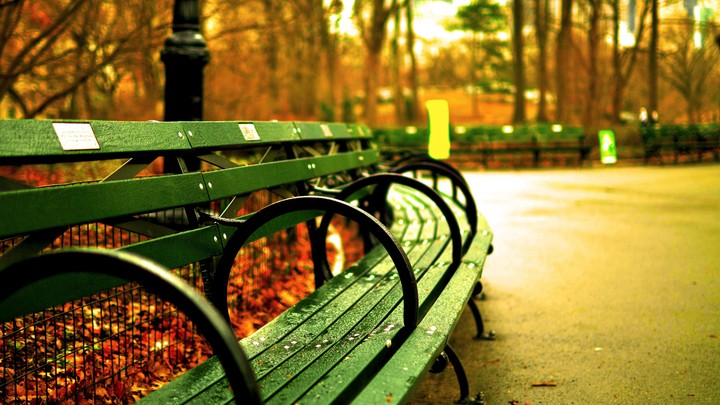 Autumn