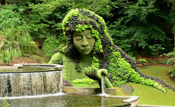 botanical garden