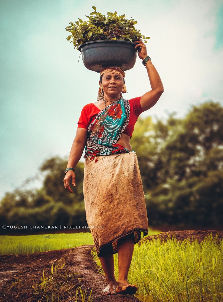 farmer