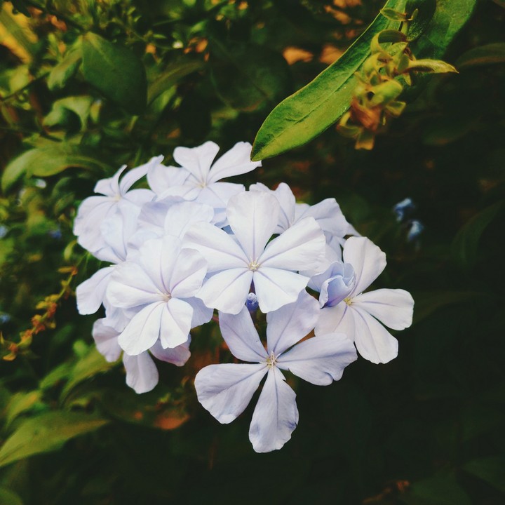 my photography
