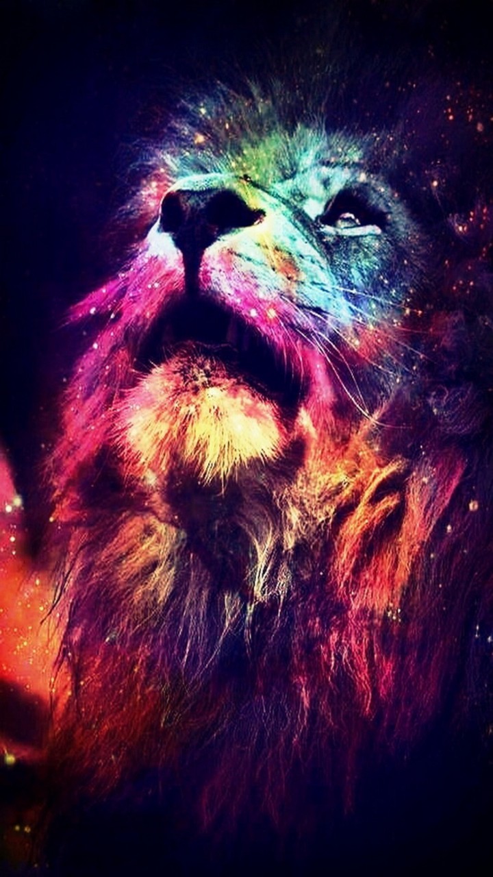 aesthetic & colourfull lion
