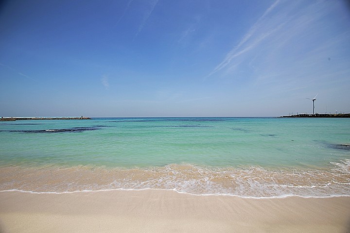 sea