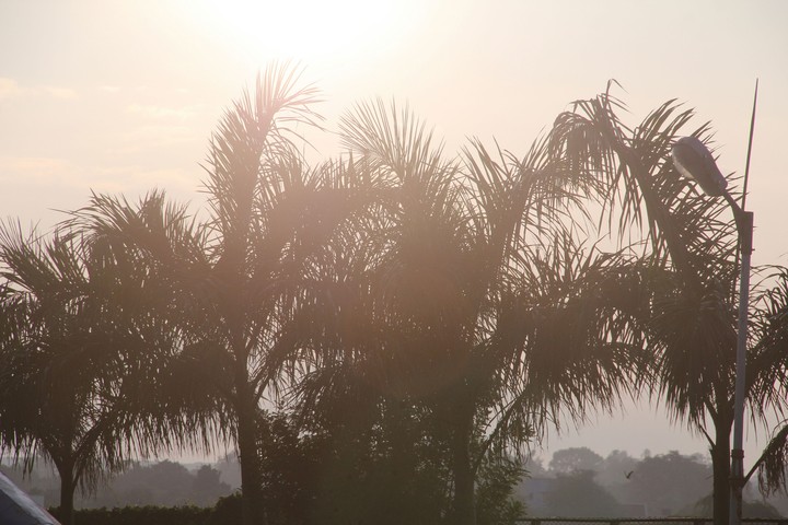 sunlight