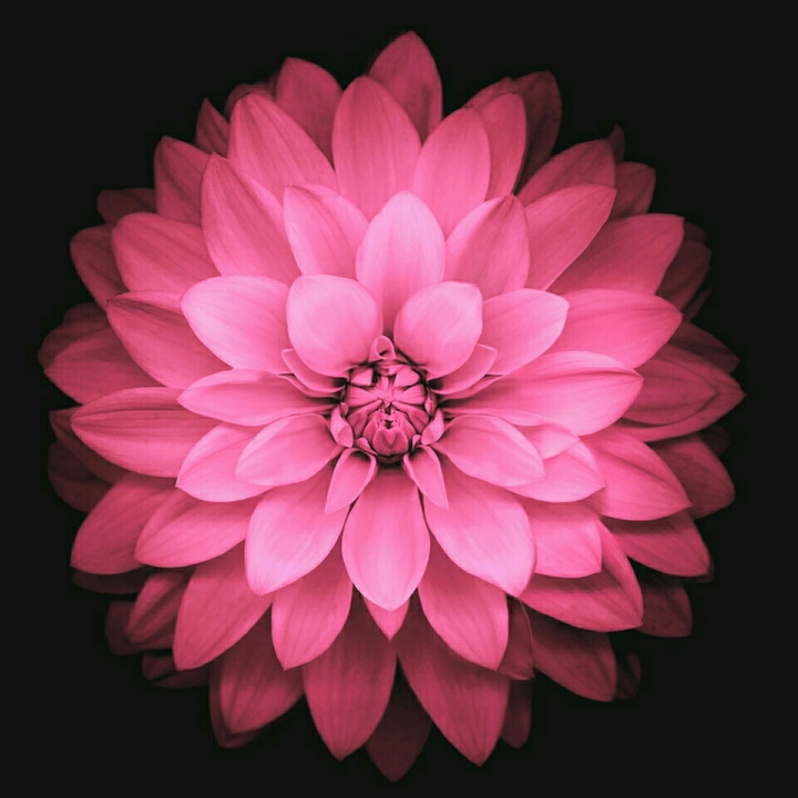 Wallpaper