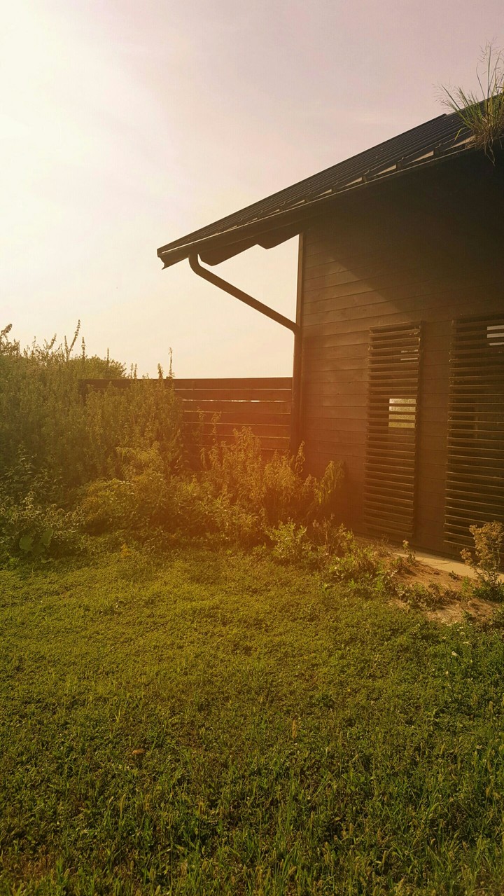 a house in the woods