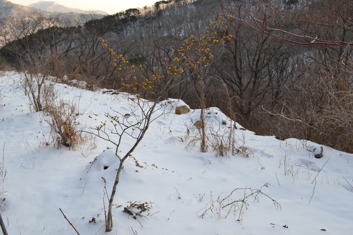 지리산이미지