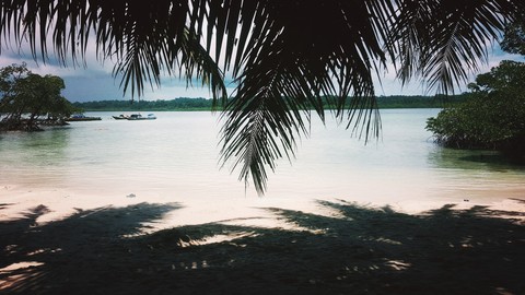 tropics, sky वॉलपेपर