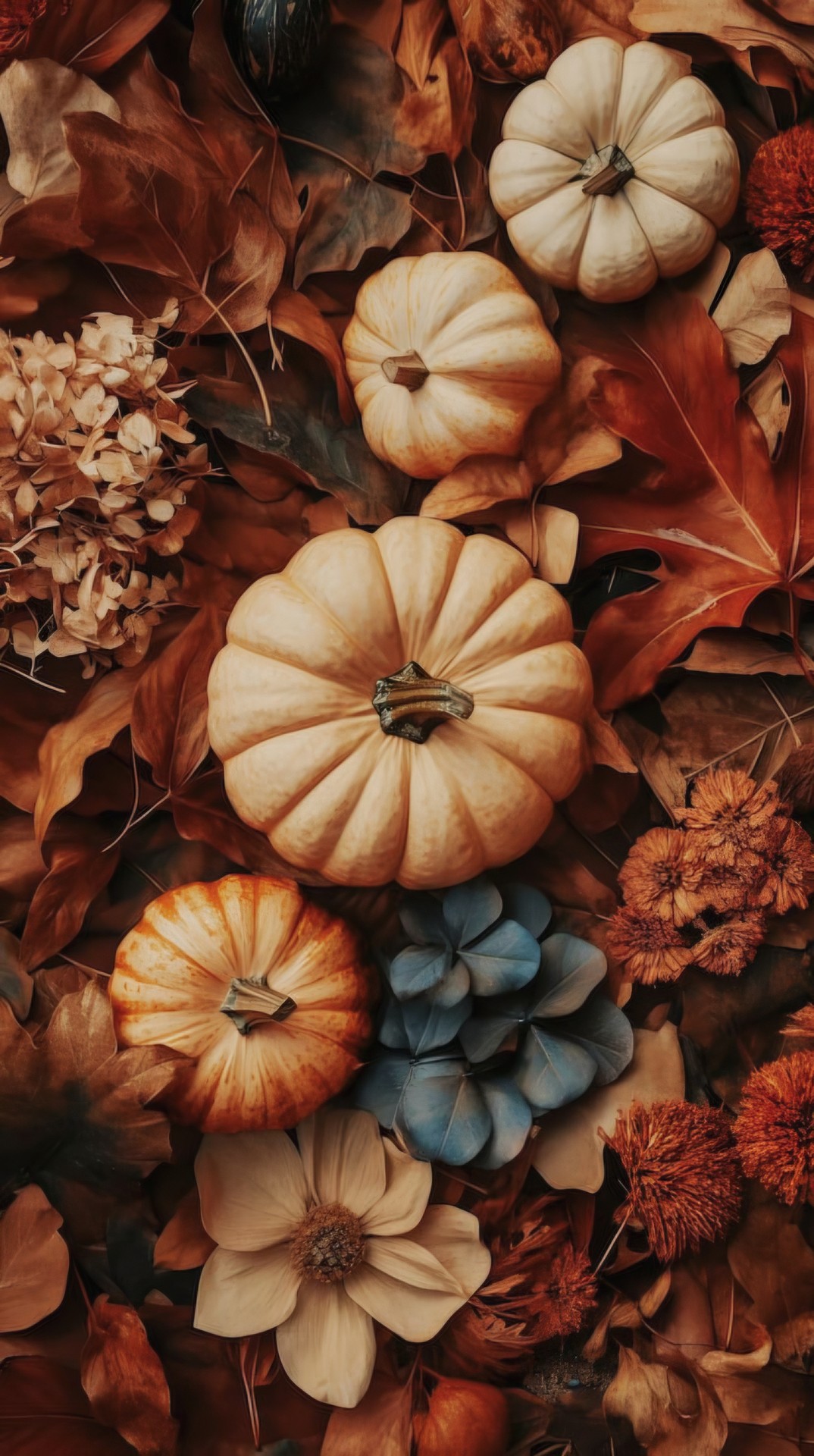 AUTUMN FLOWERS and PUMPKINS