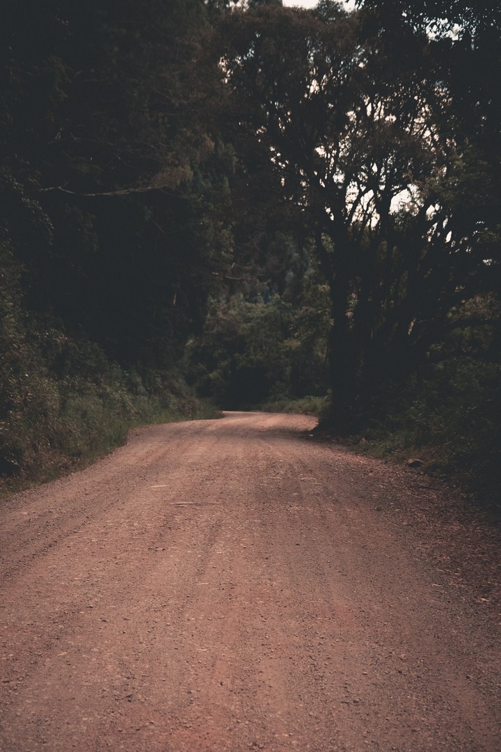 Estrada