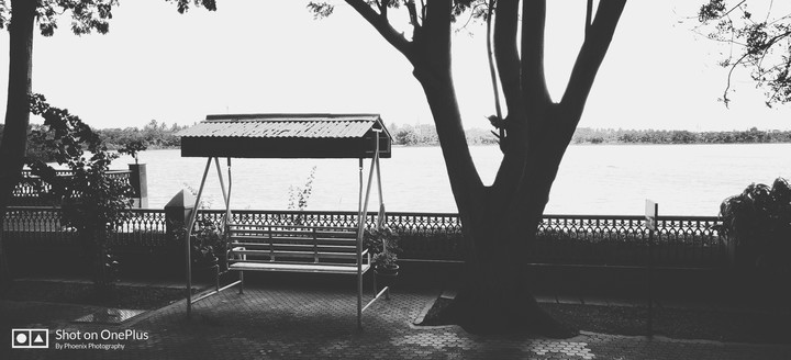 swing