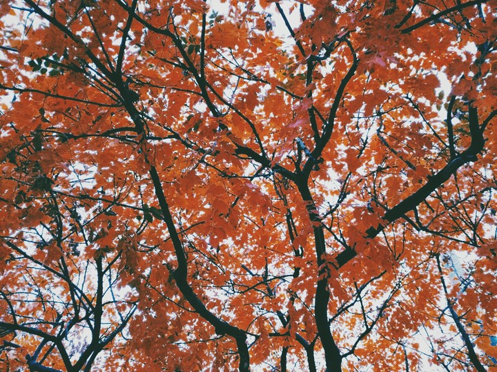 fall