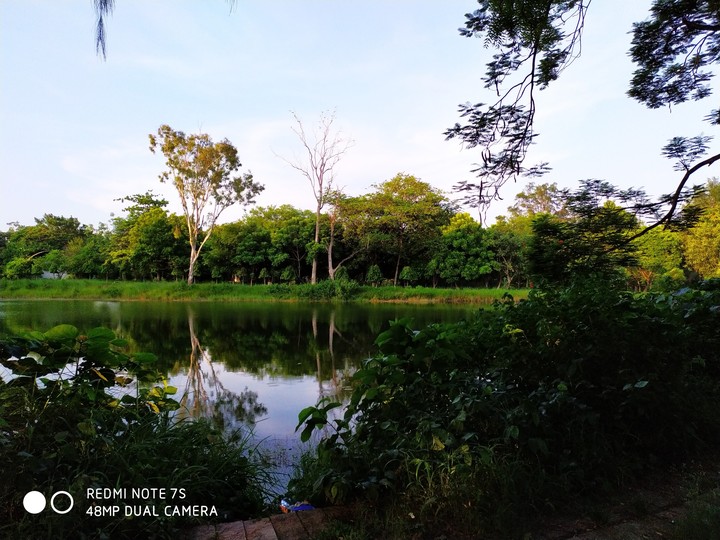 Nature