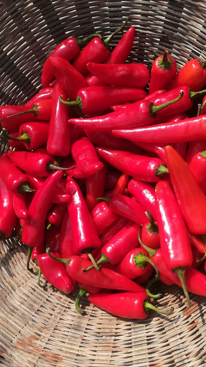 Red Chilli In Wooden Basket