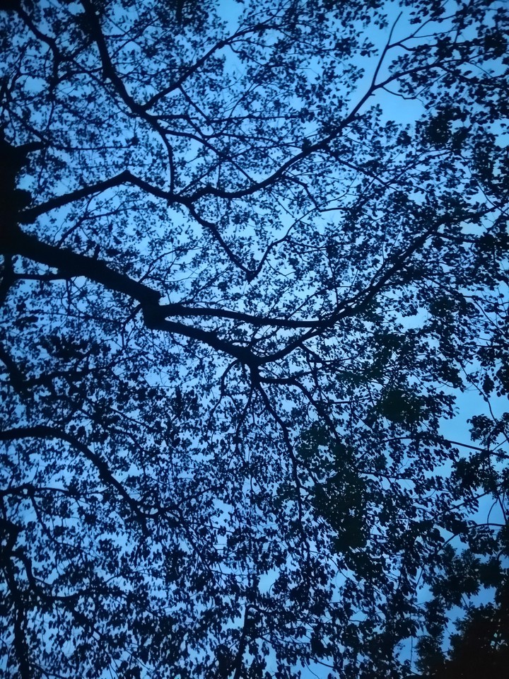shadow