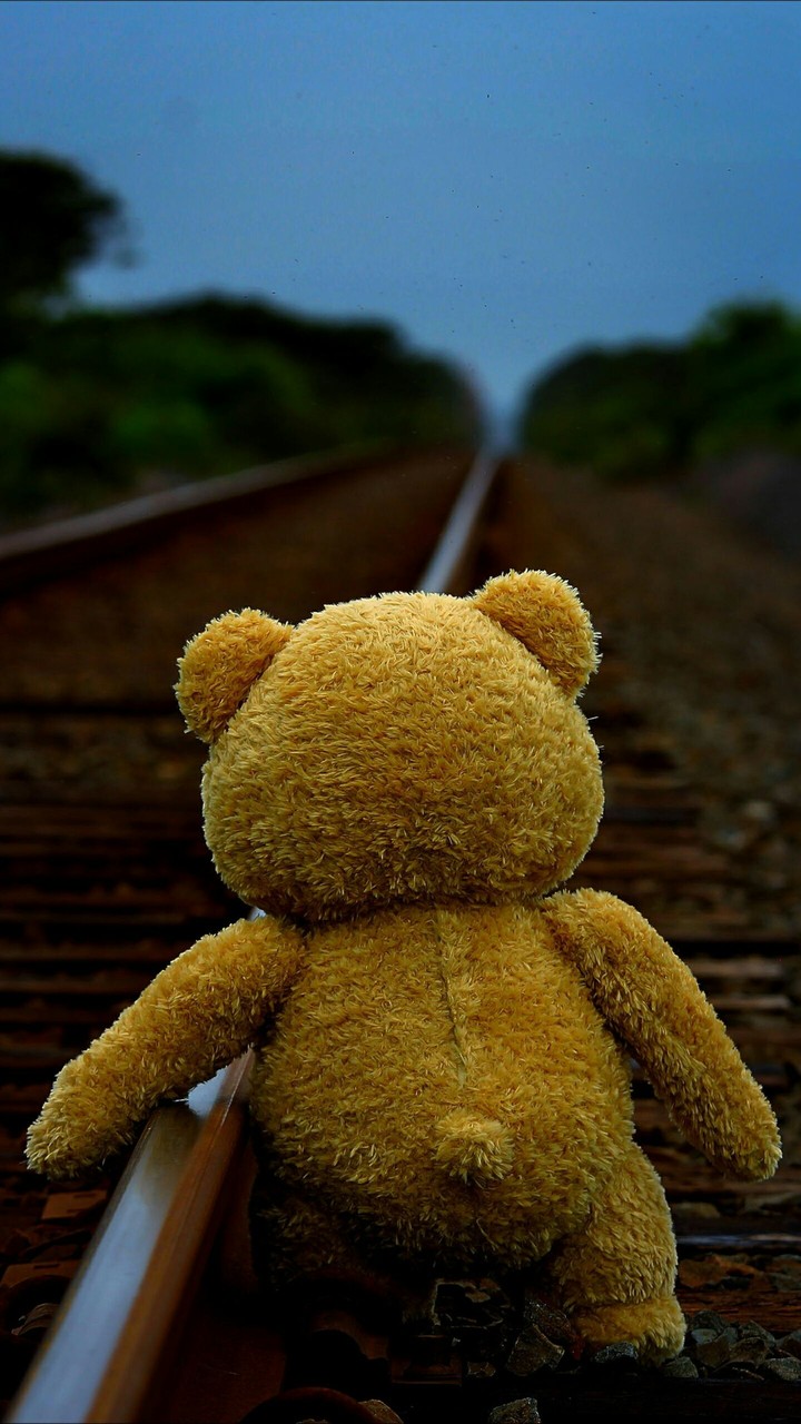 ted going on...