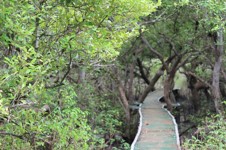 Wild park