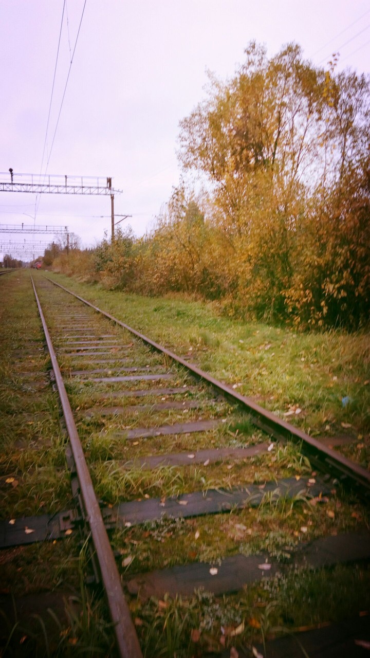 рельсы
