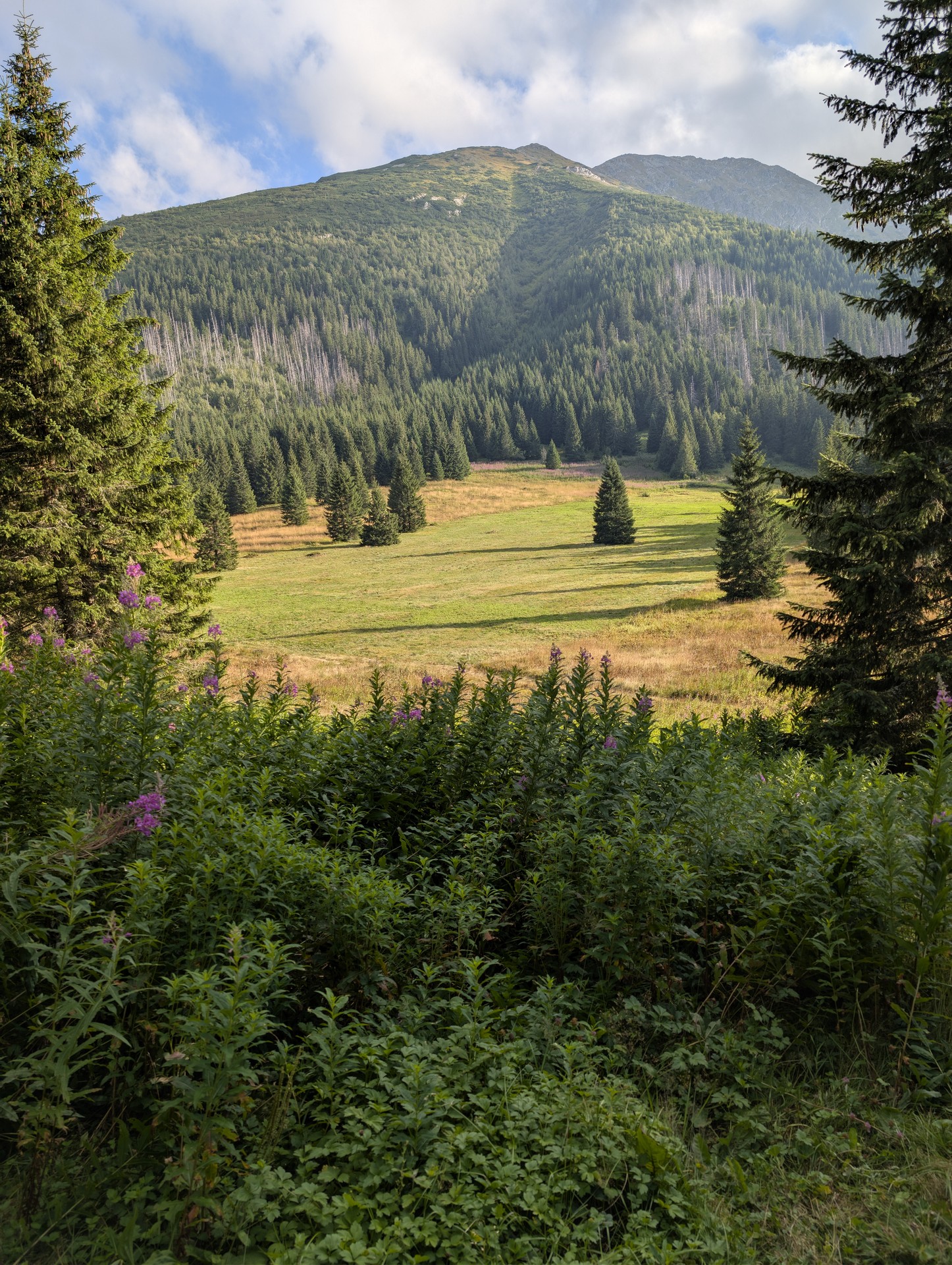Scene from Hike